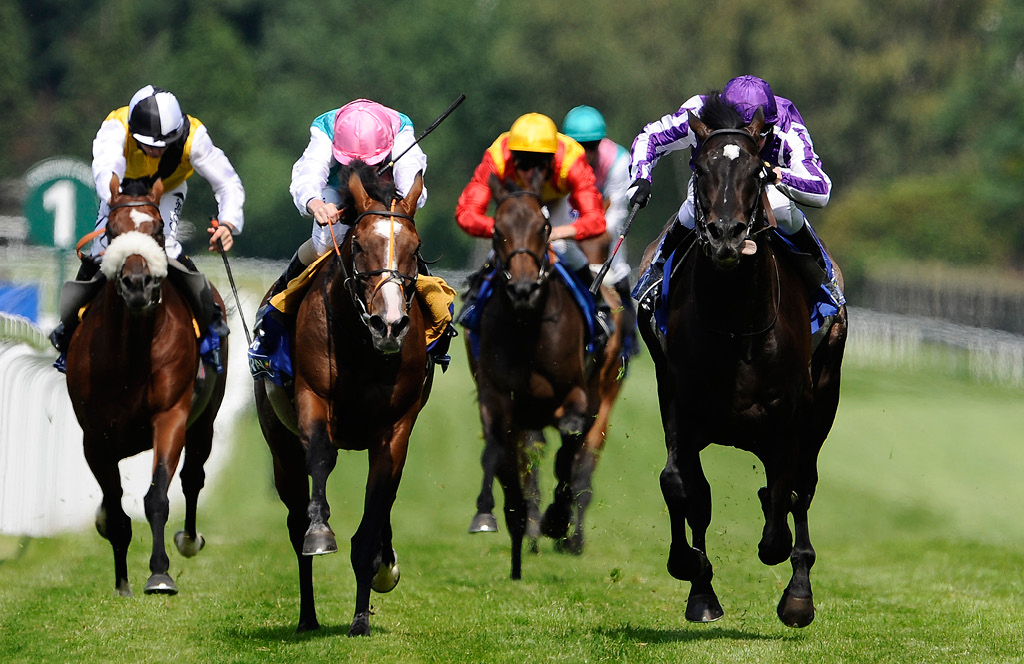 Horse Betting Terms Horse Betting Terms