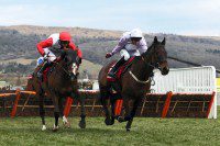 world hurdle preview