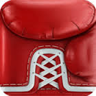 Boxing news logo