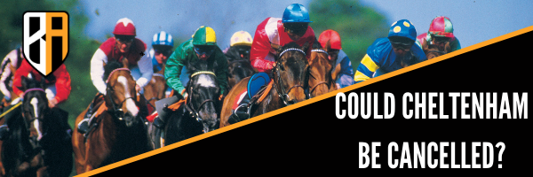Cheltenham news header