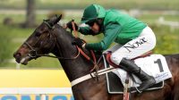 Une Artist a 33-1 winner in 2012