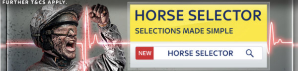 horse selector feature banner