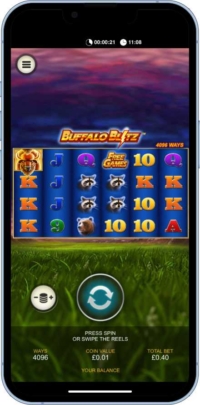Buffalo Blitz screenshot