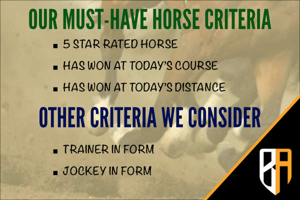 Our horse finder search criteria