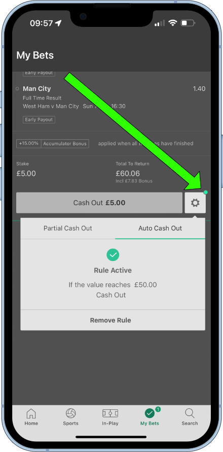 auto cash out rule notification icon