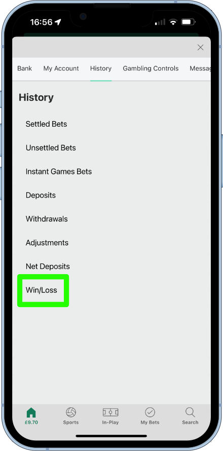 checking overall profit and loss with bet365