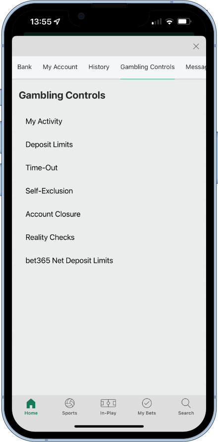 bet365 gambling controls
