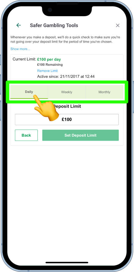 daily weekly and monthly Paddy Power deposit limits
