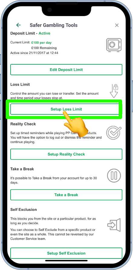 accessing the Paddy Power loss limit tool