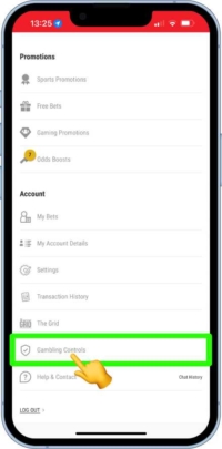 Accessing gambling controls