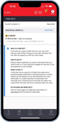 A screen shot showing an example free bet and the terms attached to it on the app