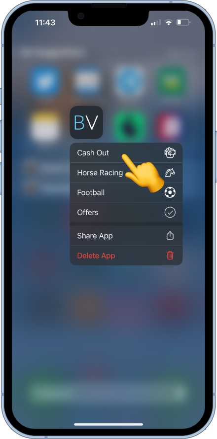 accessing cash outs from 3D touch shortcuts
