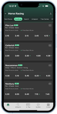 horse racing section