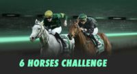 6 horses challenge banner