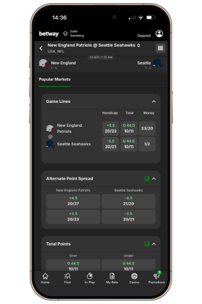 Point spread handicap markets US sports example