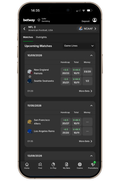 NFL Handicap betting